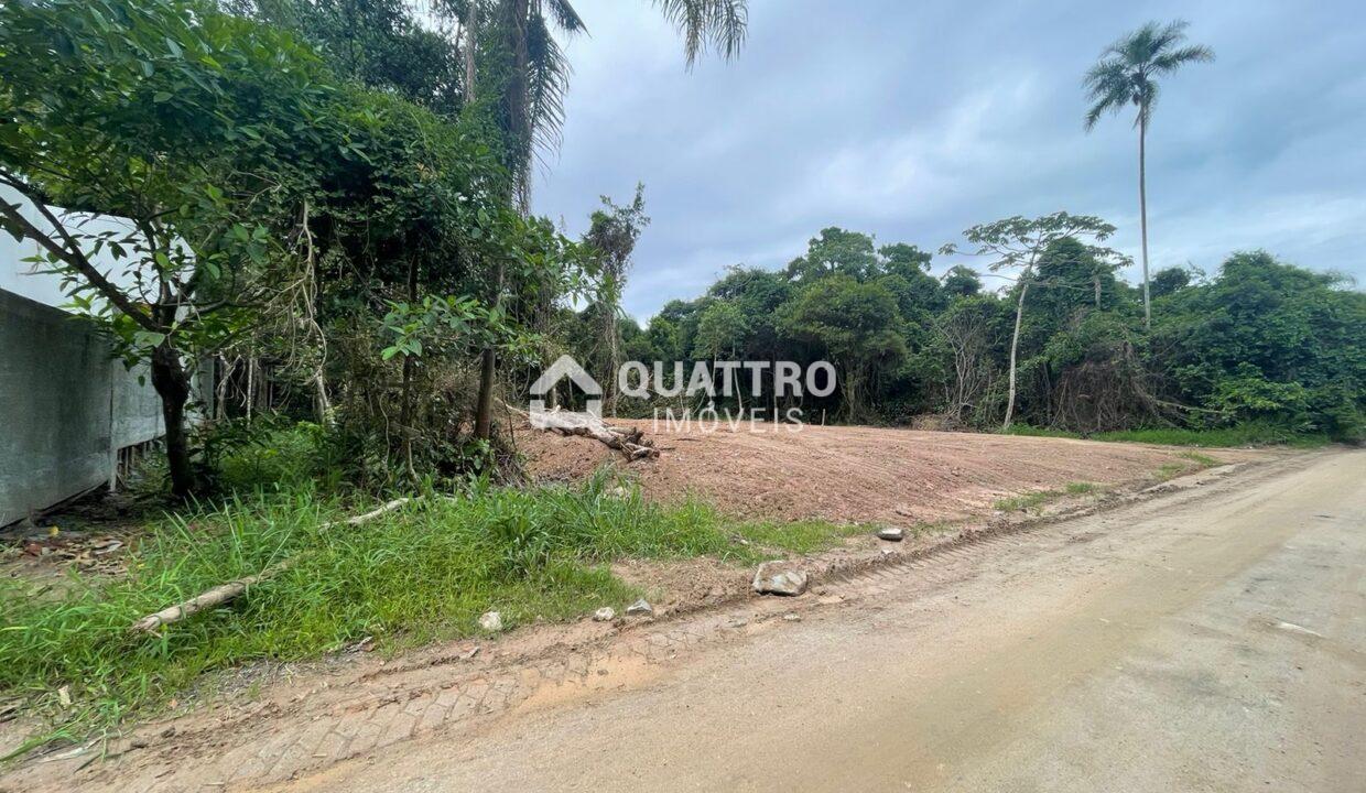 WhatsApp Image 2024-02-21 at 11.30.54